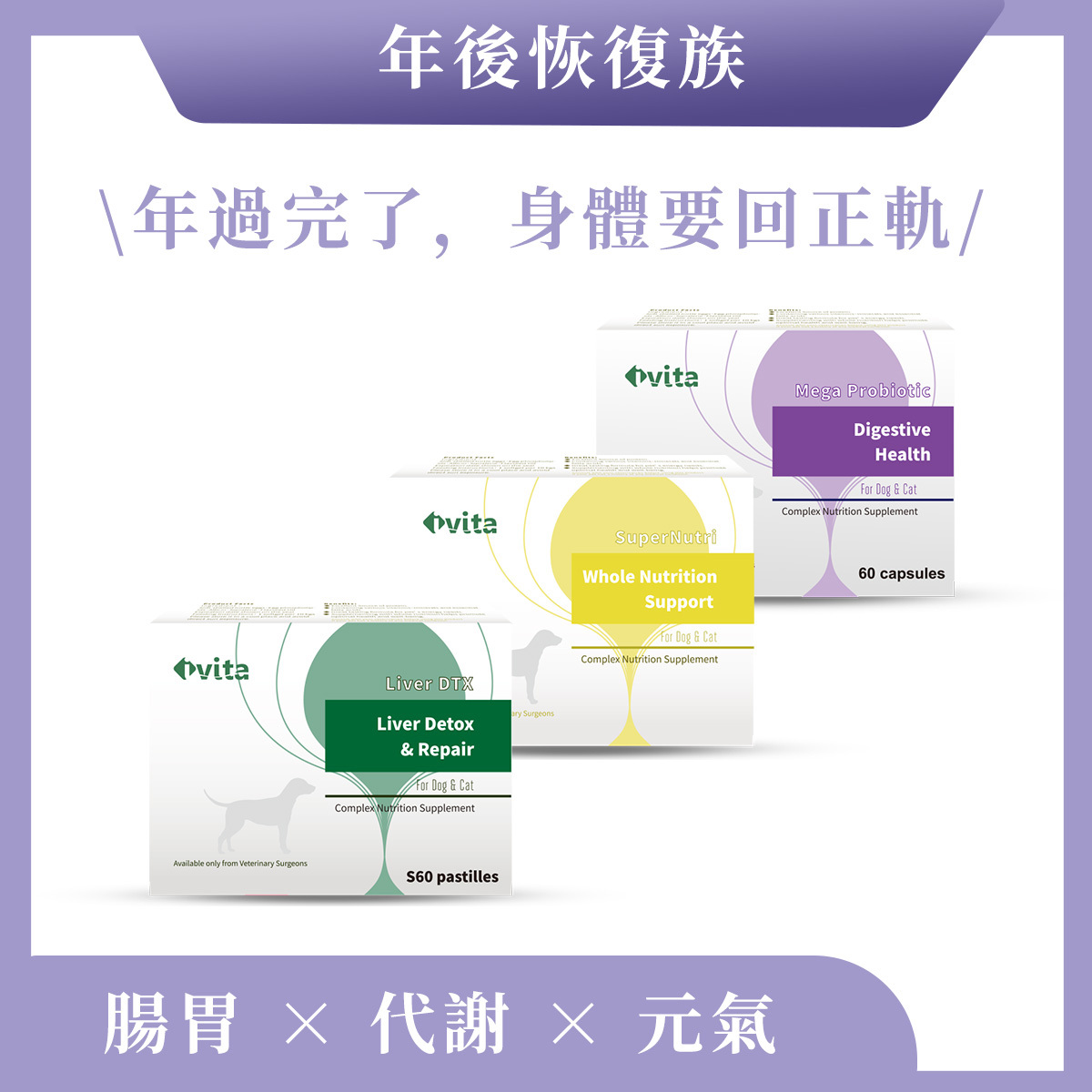 【年後恢復族】腸胃 × 代謝 × 元氣