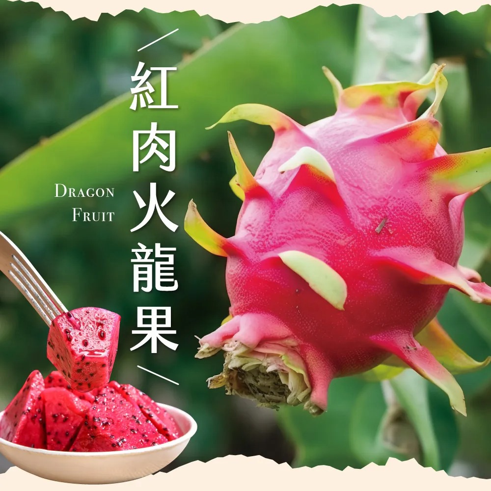 【初品果】☆中秋節後陸續出貨★預購★產地直送紅肉火龍果禮盒 (1盒/2盒)-廠商直送