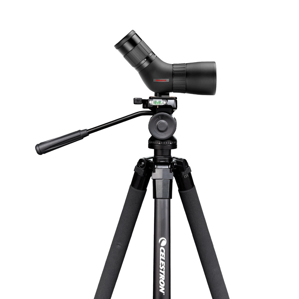MINOX 8-24X50 ED單筒望遠鏡(射箭觀靶鏡)+CELESTRON 油壓雲台三腳架(台灣總代理公司貨)
