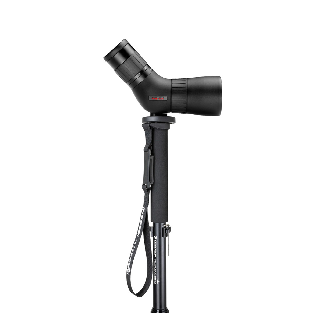 MINOX 8-24X50 ED單筒望遠鏡(射箭觀靶鏡)+CELESTRON 蜂鳥輕便單腳架-輕便腳架組(台灣總代理公司貨)