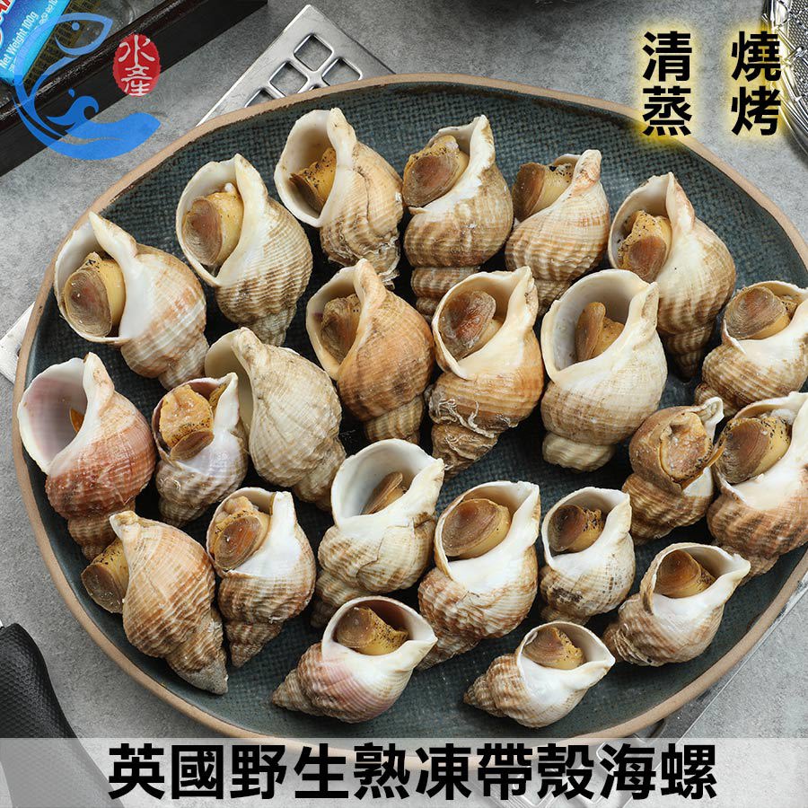 英國野生熟凍帶殼海螺(歐洲峨螺)｜大西洋純淨野生漁獲高溫秒燙鎖鮮、肉質Q彈濃鬱海味15-35粒 30-50粒 1KG±10%/包