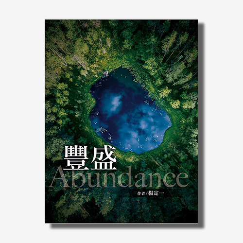 豐盛(楊定一)