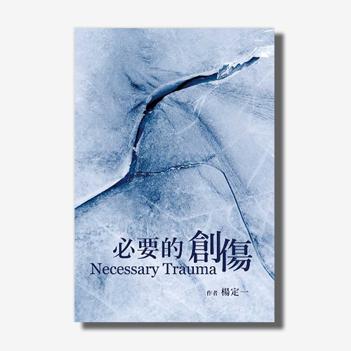 必要的創傷(楊定一)