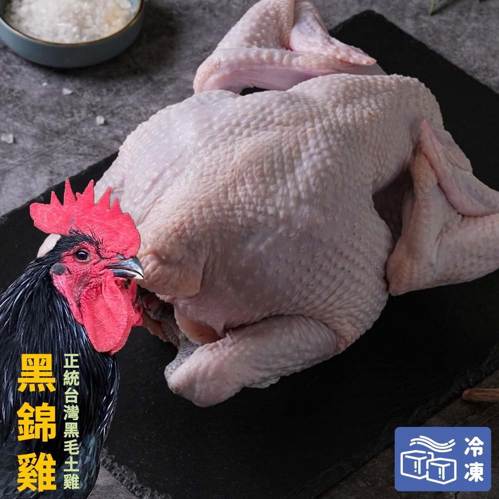 限量【黑錦雞】全雞(公雞) 1400±20g