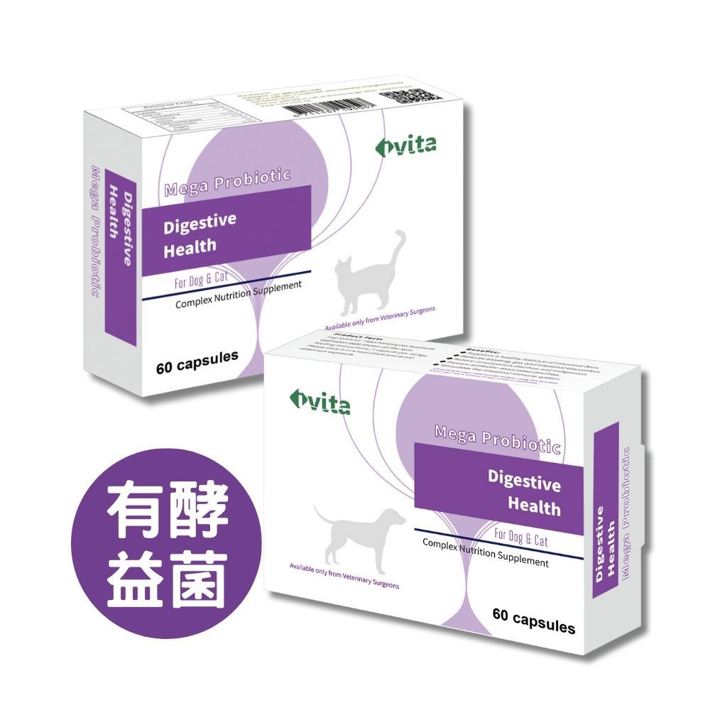 IVITA Mega Probiotic 常樂