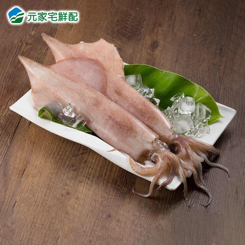 【海鮮小知識】魷魚、花枝、透抽、軟絲傻傻分不清？ | 元家宅鮮配