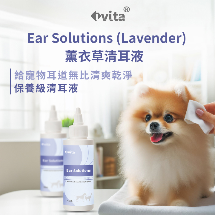 IVITA Ear Solutions 薰衣草清耳液