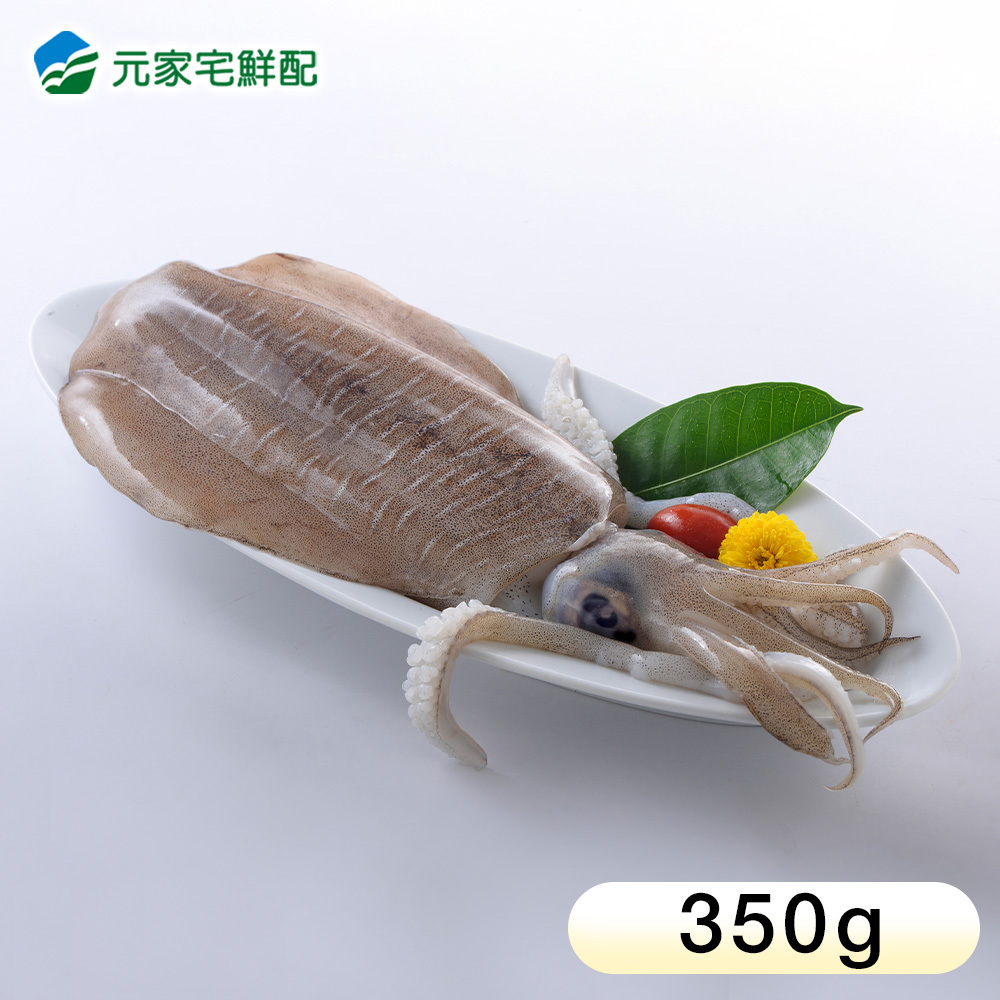 【海鮮小知識】魷魚、花枝、透抽、軟絲傻傻分不清？ | 元家宅鮮配