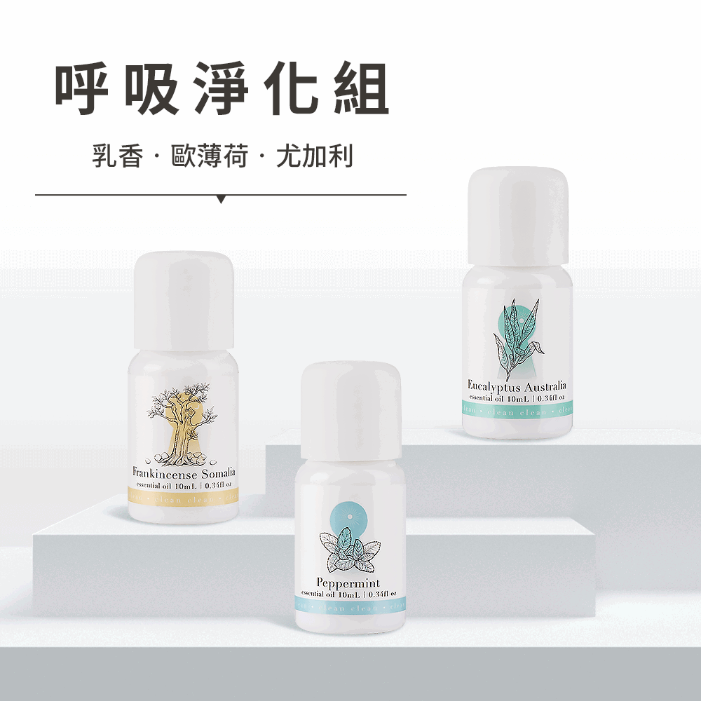 淨心 呼吸淨化3入組(乳香、薄荷、尤加利）