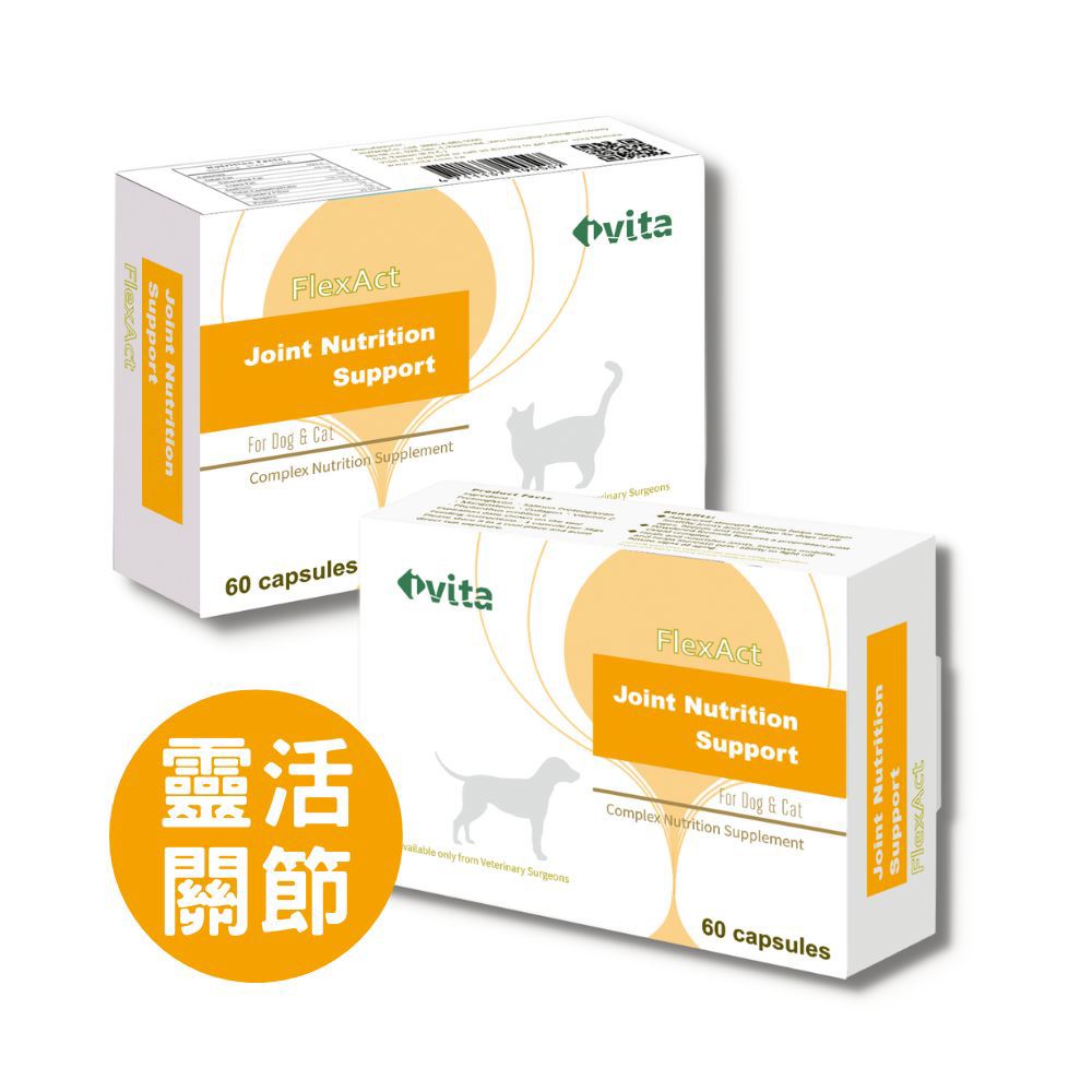 IVITA FlexAct 顧關捷