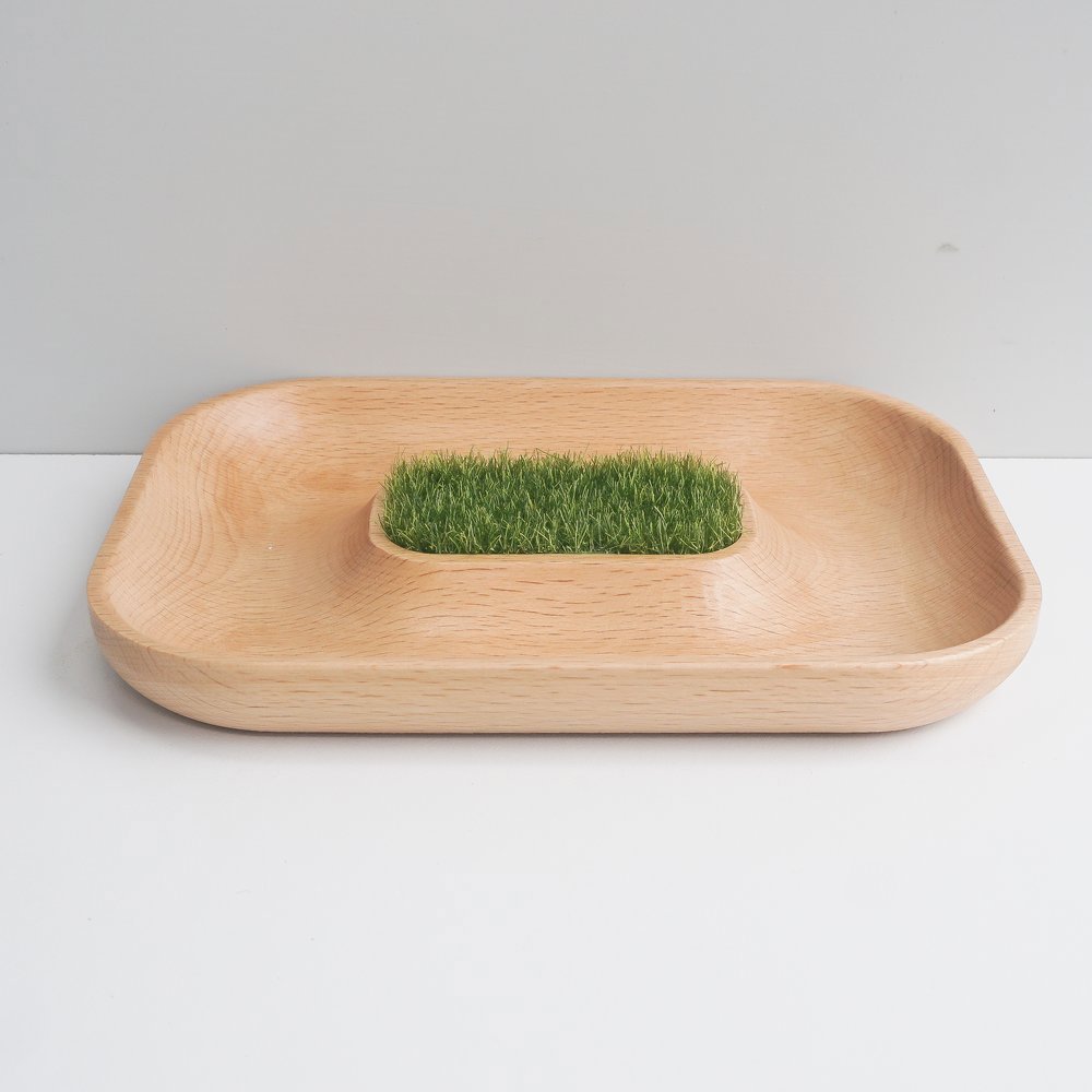 下殺432 TOSMU童心木 小物收納盤-沙漠綠洲/木製收納盤/造型收納盤/小物收納 25Oct001
