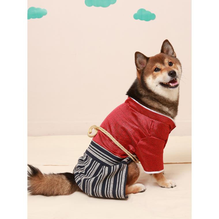 日本和風武士服和服寵物衣服