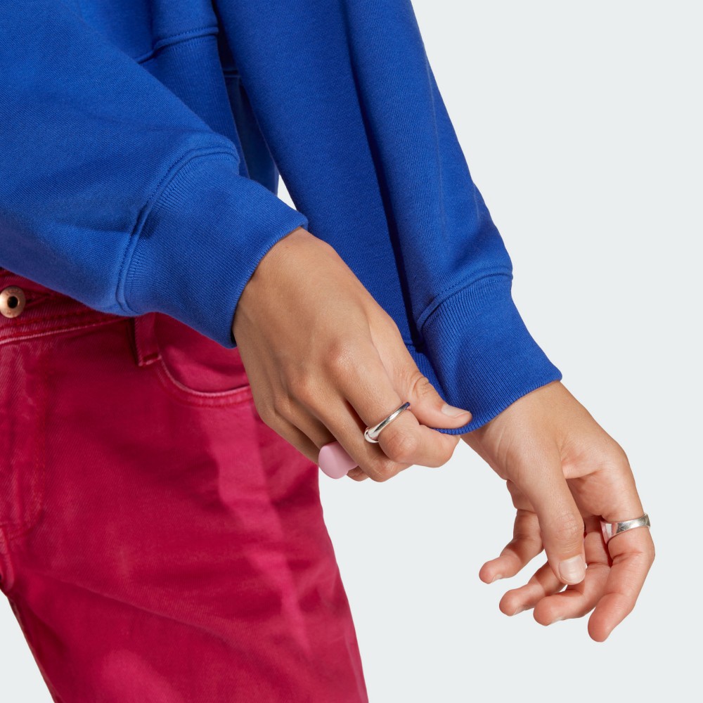 ADICOLOR 長袖上衣