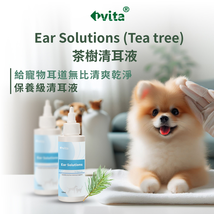 Ear Solutions (Tea Tree) 茶樹清耳液