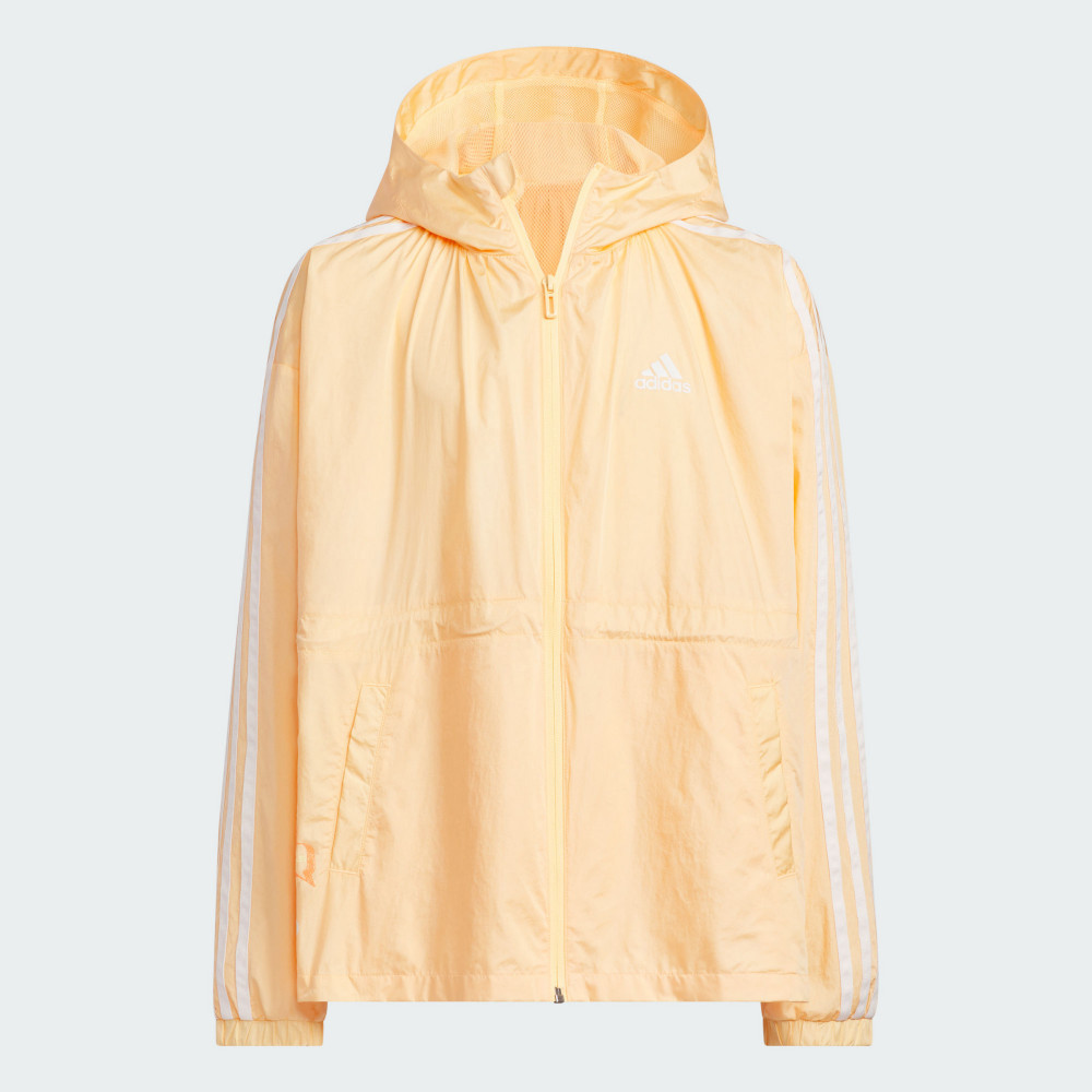 SPORTSWEAR EXPRESS 連帽外套