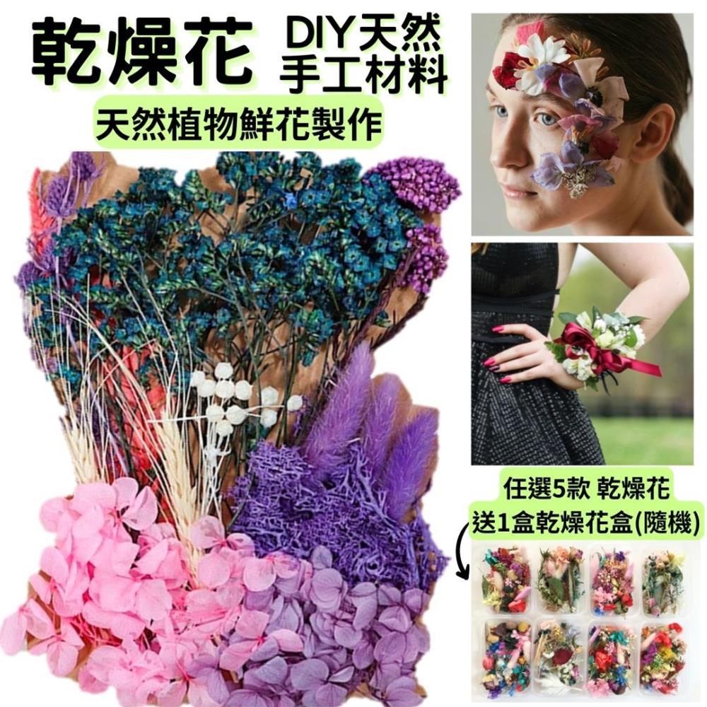 【A-ONE】永生花材料包 短枝綜合乾花材料 花材盒 苔癬 永生繡球 小花瓣不凋花 材料 永生花 花材 C12 紫色花園_廠商直送 | 熱銷 ...