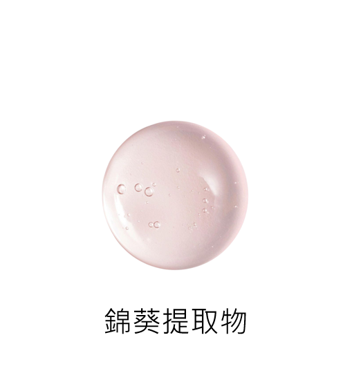 The Olistic Republic 西班牙地中海金盞花 No.55 天然舒緩保濕身體乳250 ml x 1入 (效期2026/01/27)_6