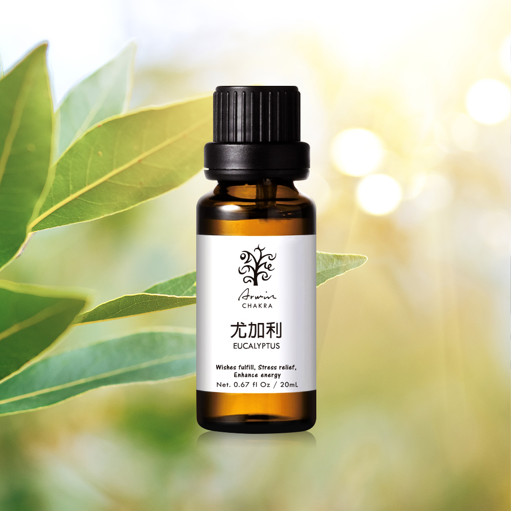 尤加利 精油20ml_2