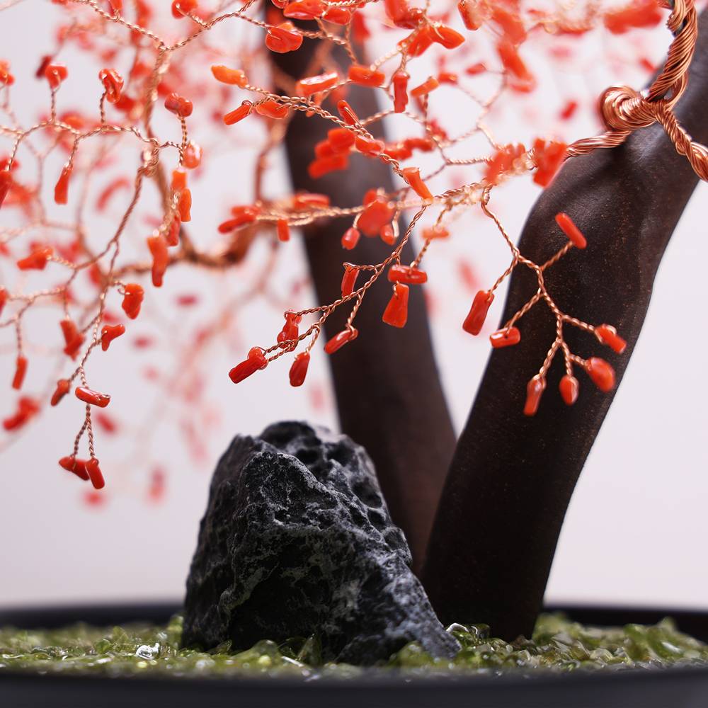 富貴萬年紅珊瑚發財樹