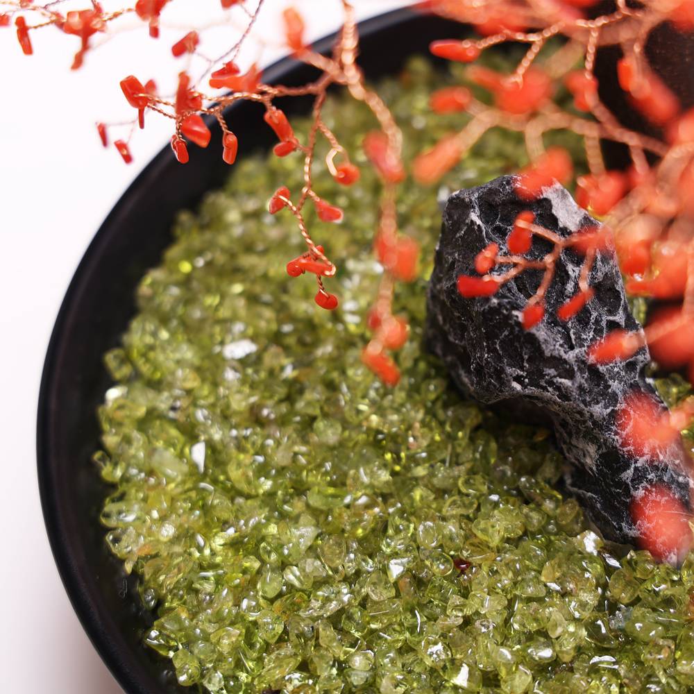 富貴萬年紅珊瑚發財樹