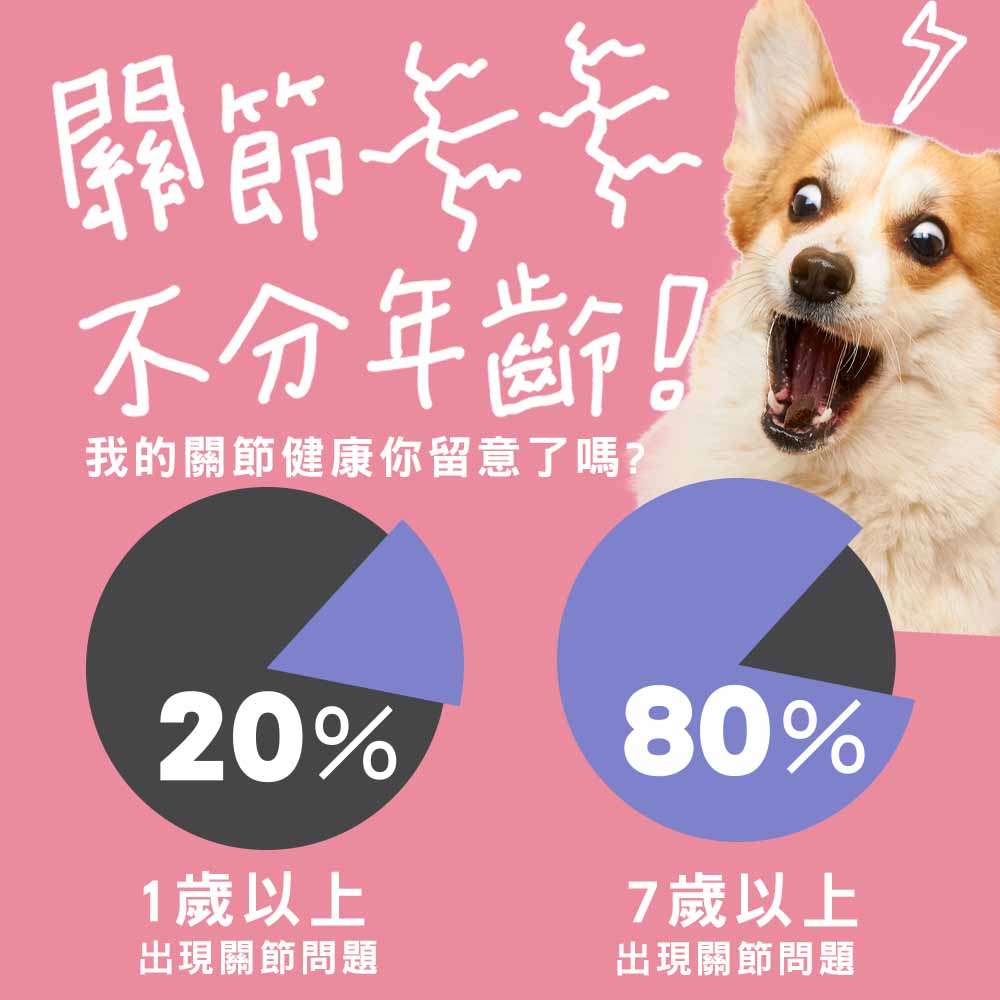 【關節保健】蛋殼膜MSM強化舒緩配方 30顆(狗保健品)(軟錠型)_7