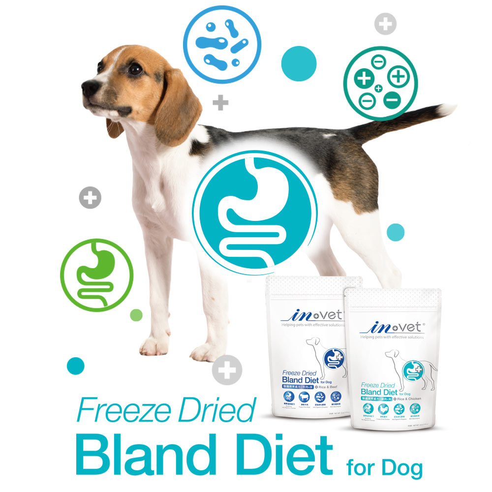 【IN-Vet】犬用-醫護腸胃處方-雞肉+米 170克(狗保健品)(粉劑型)_7
