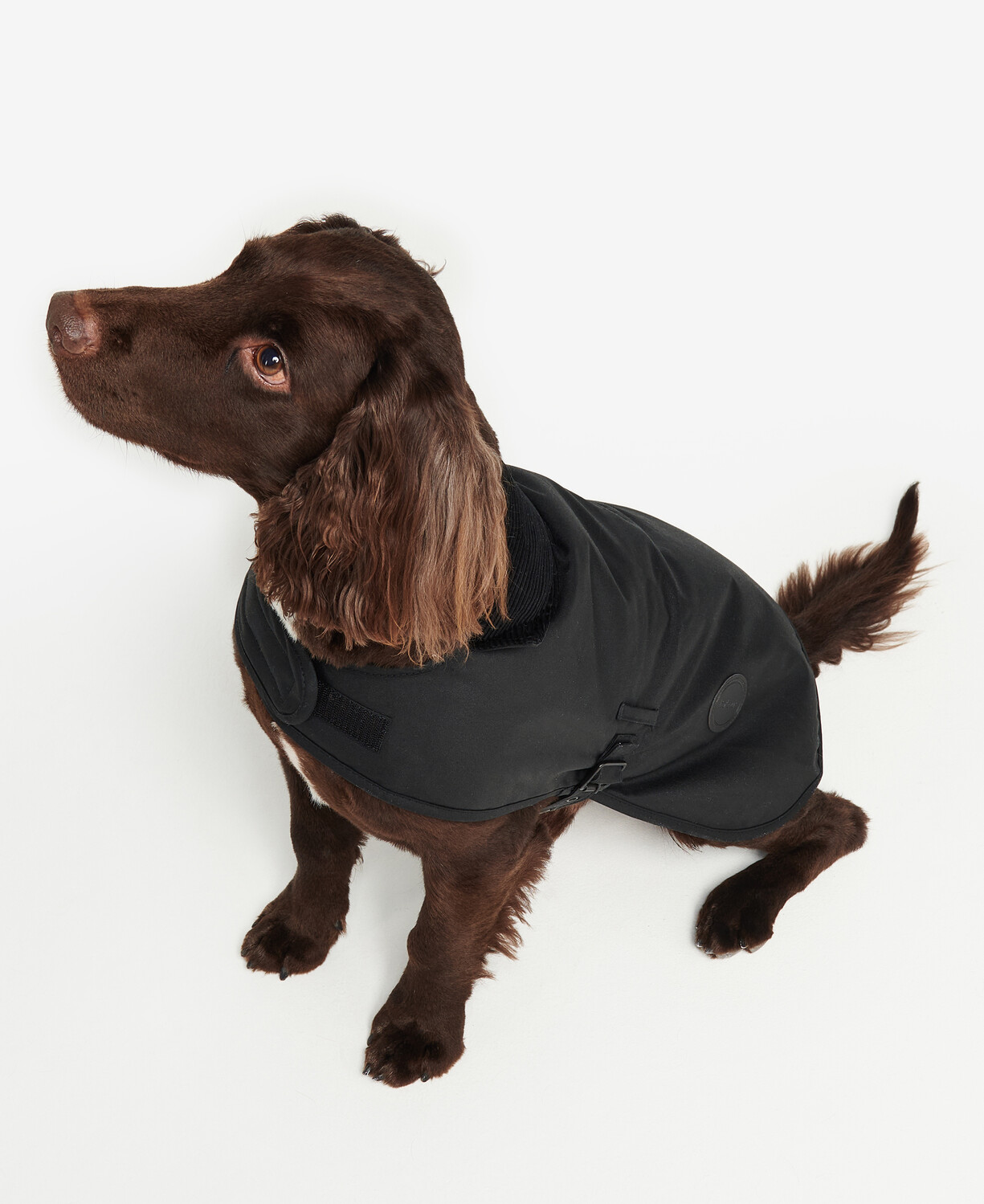 Barbour Wax Dog Coat 油布寵物衣