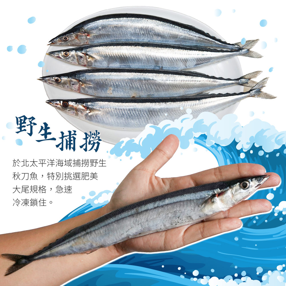 秋刀魚御膳さま専用 新秋刀魚 | 吹田市 仕出し配達・和食居酒屋 うを常