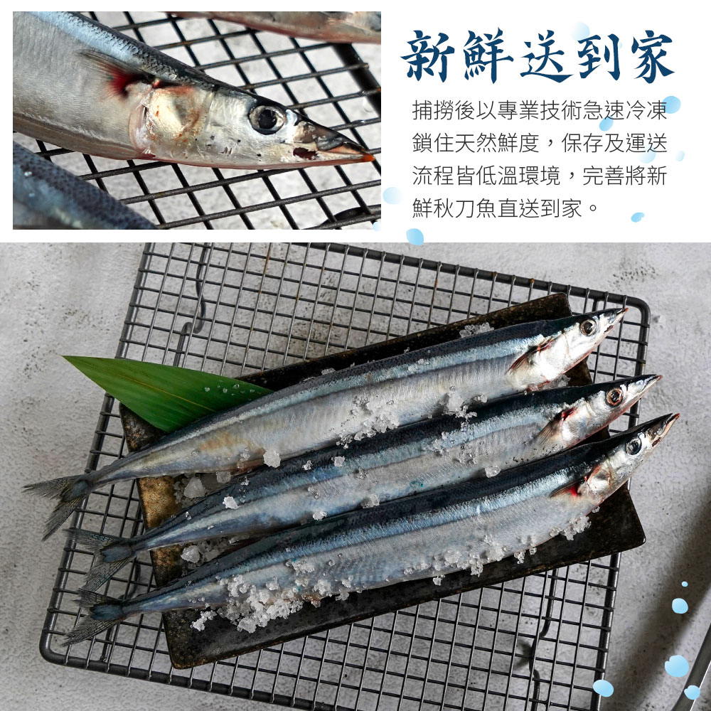 日本1號特大秋刀魚(3尾入)｜法蘭克肉品超市｜肉品進口商直營