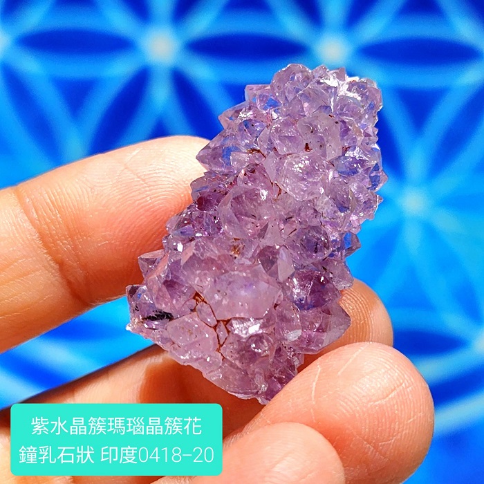 印度紫水晶簇瑪瑙晶簇花鐘乳石型態0418-20 Amethyst/紫晶花