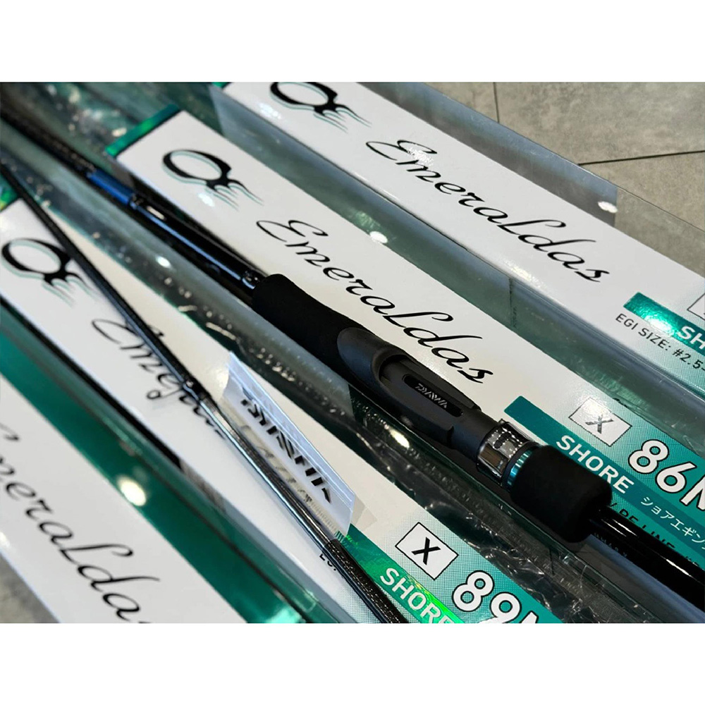 DAIWA EMERALDAS X 入門中階首選軟絲竿