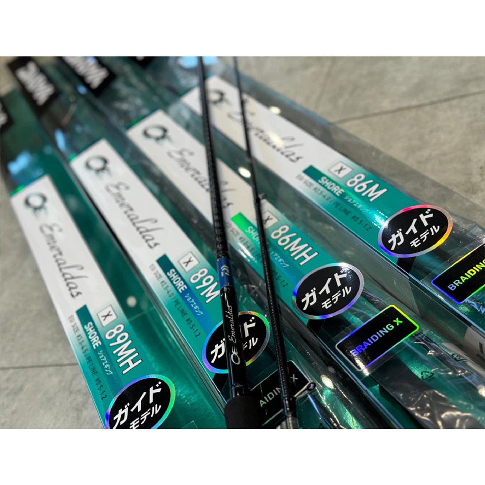 DAIWA EMERALDAS X 入門中階首選軟絲竿