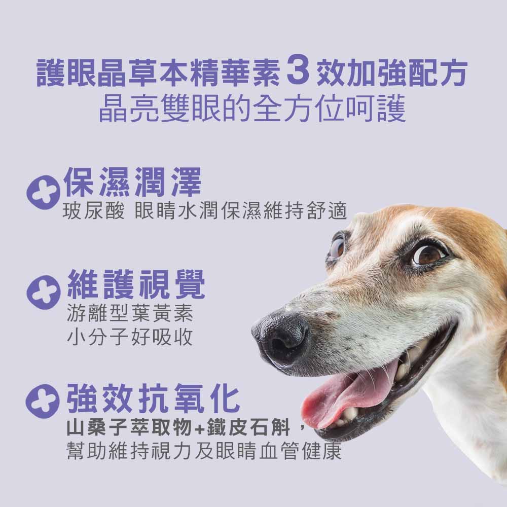 IN-Plus 犬用護眼晶草本精華素 三效加強配方