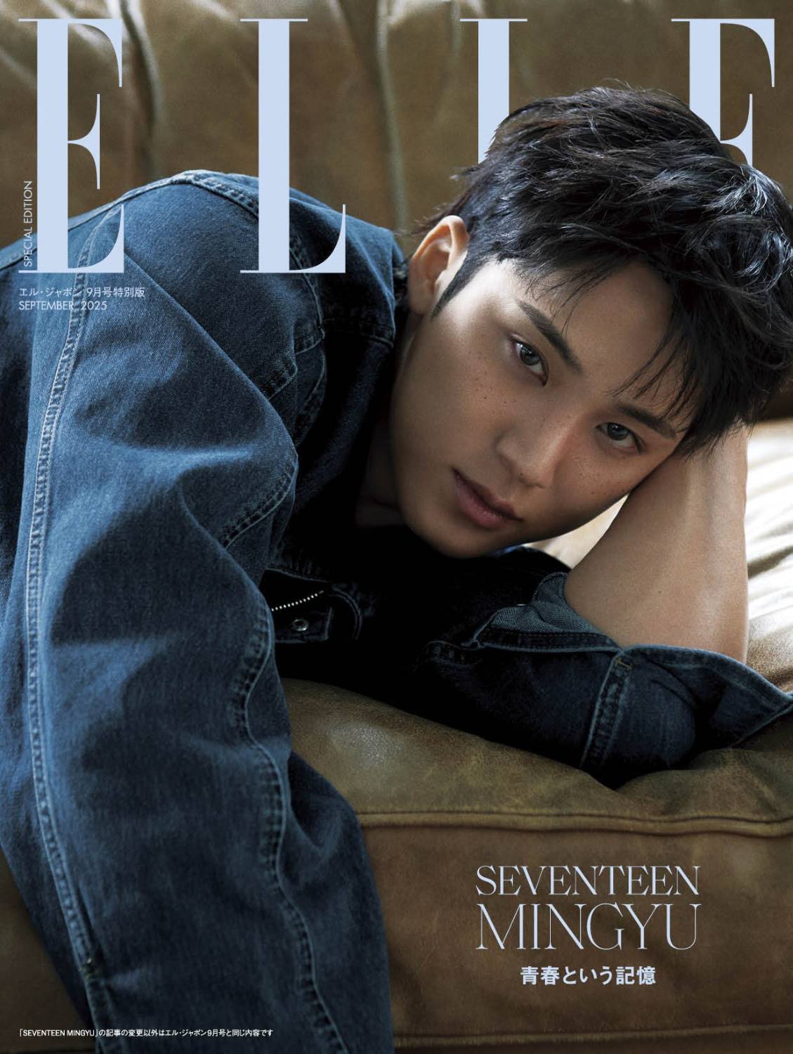 ELLE (JAPAN) 9月號增刊2025 兩款（封面人物：SEVENTEEN-珉奎） | 熱銷