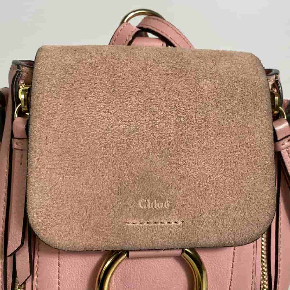 【桃園家樂福經國店】Chloe/後背包//_4