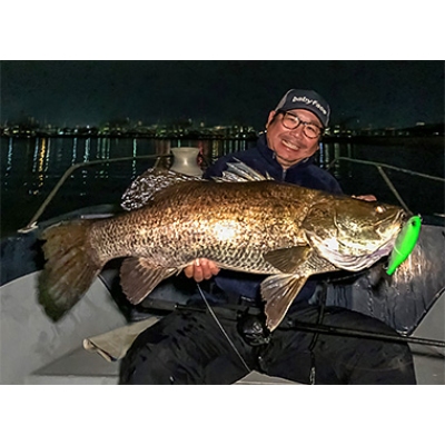 DAIWA BLACK LABEL TRAVEL C70MH-5 海水路亞多節竿5P