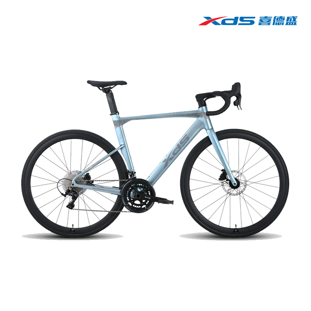 XDS喜德盛】AD300 LTWOO 20速碟煞公路車