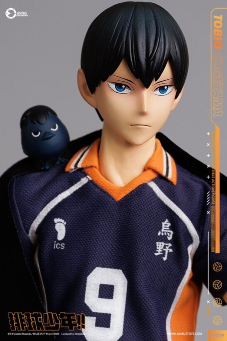 預購) [豪華版] Asmus Toys 1/6 COLLECTIBLE ACTION FIGURE-排球少年