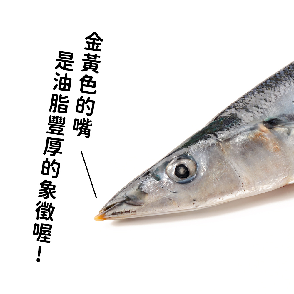 極上特大秋刀魚｜Cococina楽覓炊事