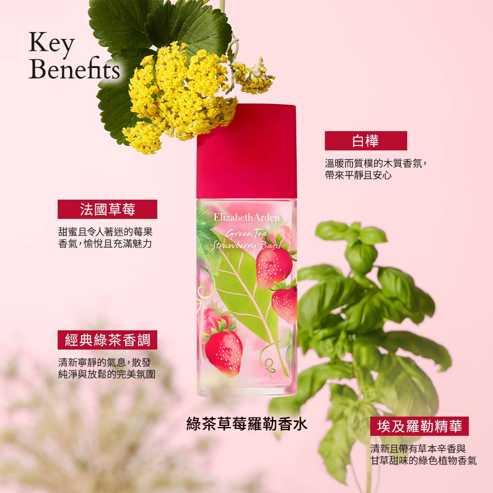 綠茶草莓羅勒香水100ml | 伊麗莎白雅頓Elizabeth Arden