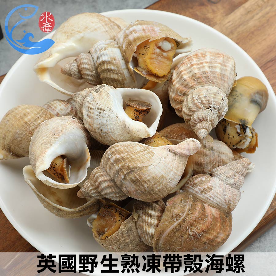 英國野生熟凍帶殼海螺1KG｜MACDUFF大西洋峨螺翡翠螺15-35與30-50雙規格