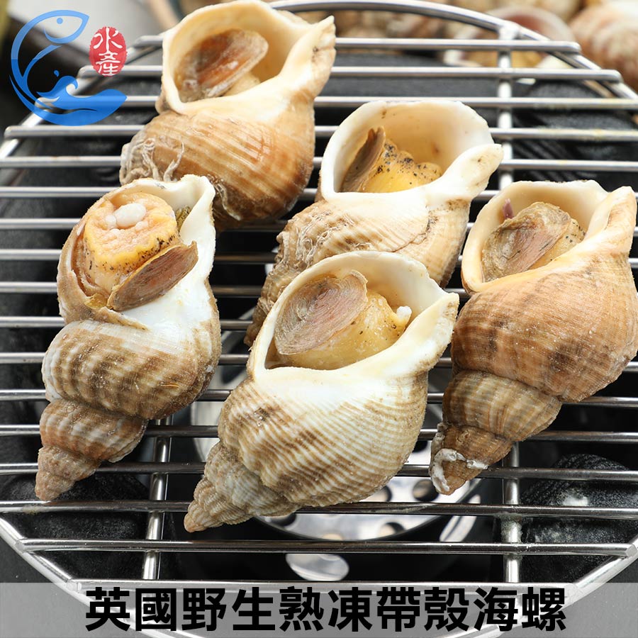 英國野生熟凍帶殼海螺1KG｜MACDUFF大西洋峨螺翡翠螺15-35與30-50雙規格