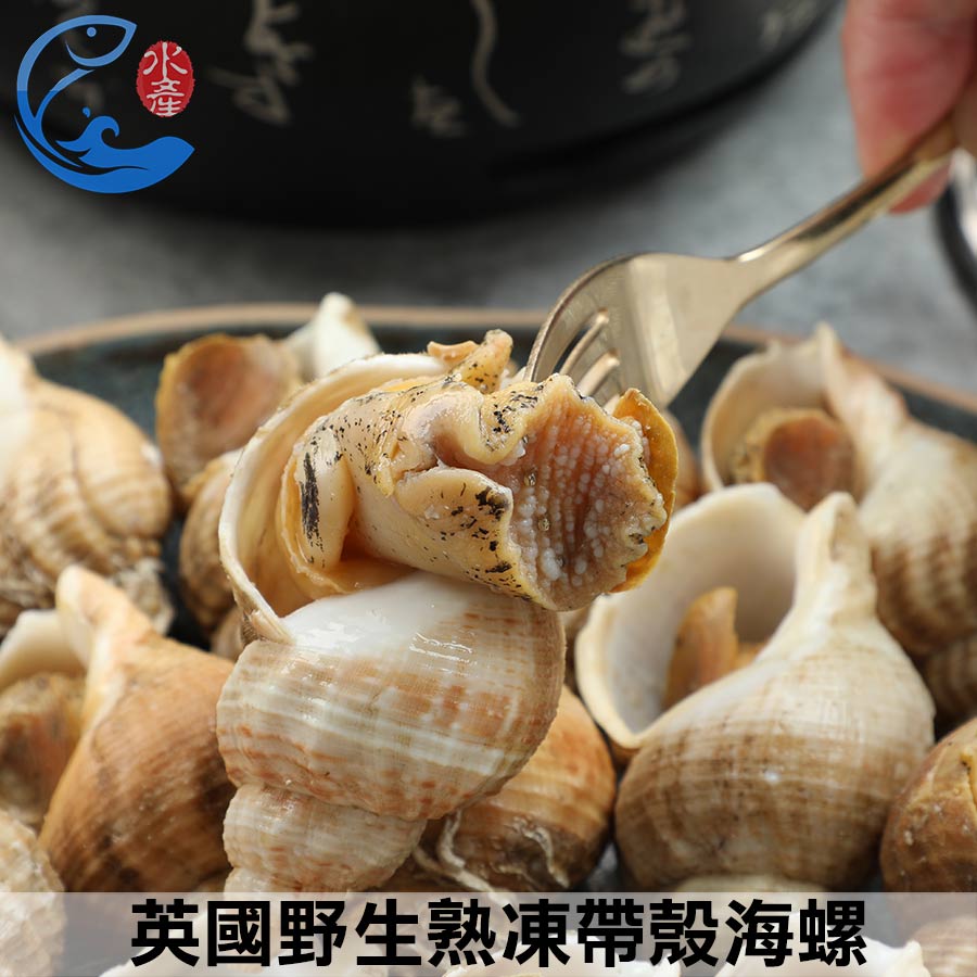 英國野生熟凍帶殼海螺1KG｜MACDUFF大西洋峨螺翡翠螺15-35與30-50雙規格