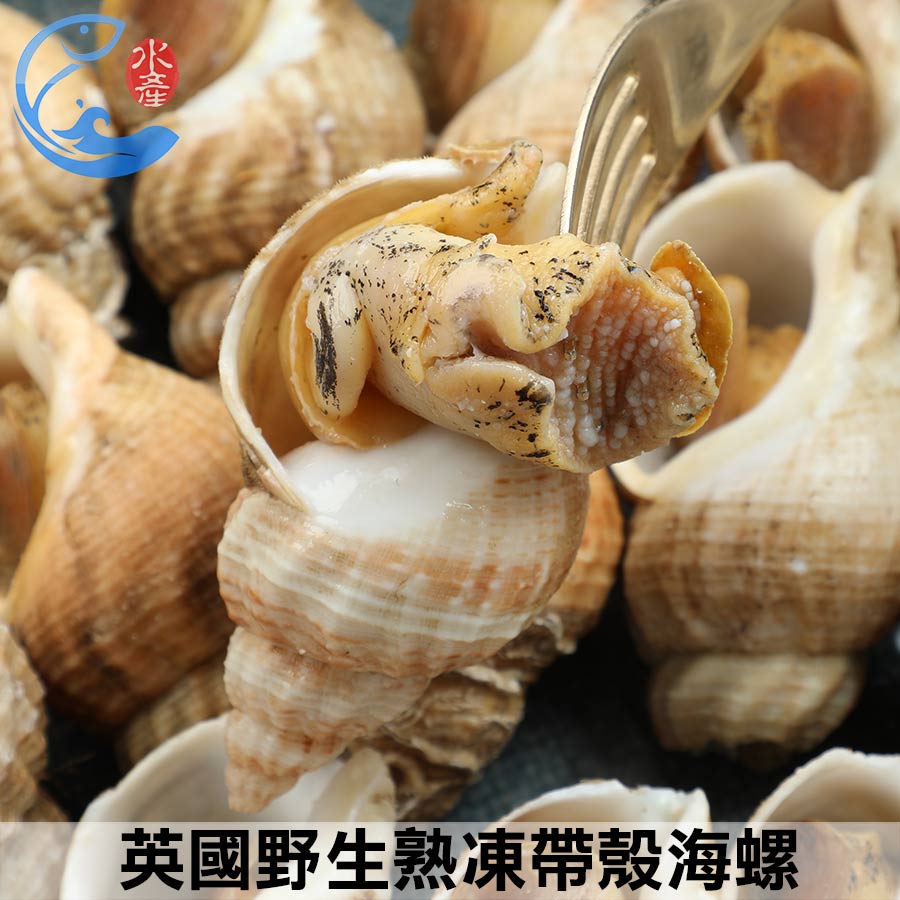 英國野生熟凍帶殼海螺1KG｜MACDUFF大西洋峨螺翡翠螺15-35與30-50雙規格