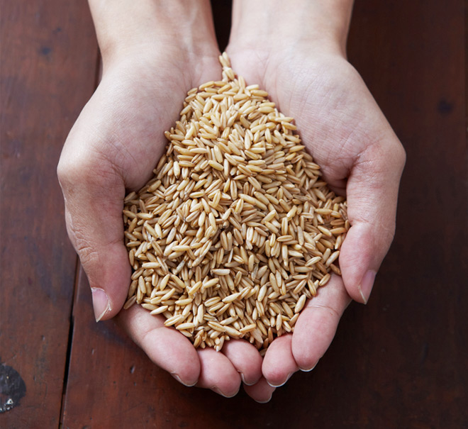 【米森 vilson】有機燕麥仁(450g/包)☆_1