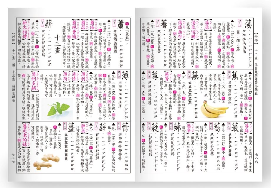 32K)彩色新編國語辭典B5138-2 | 熱銷推薦| 世一文化
