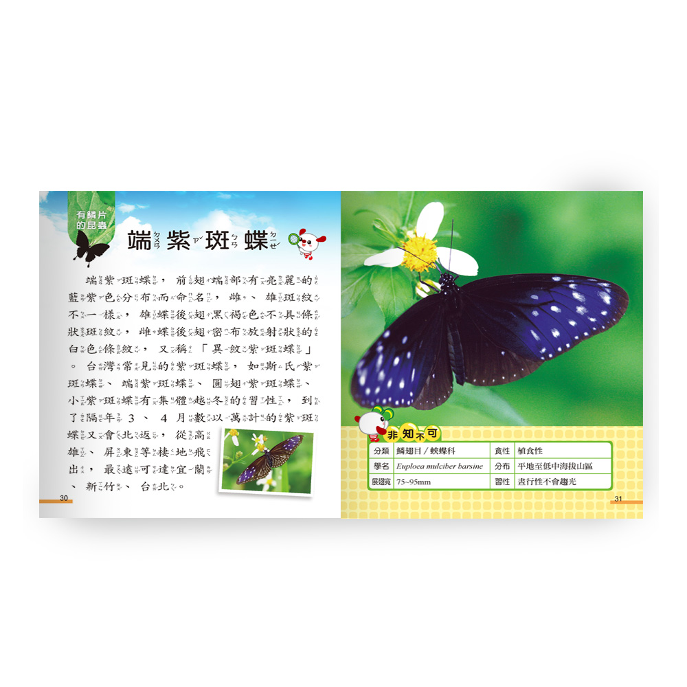 「百蟲畫 一名蠕蠕集」彩色木版刷り 山本復一著 1冊|和本 昆虫 百虫画 000002_1719164875.jpg