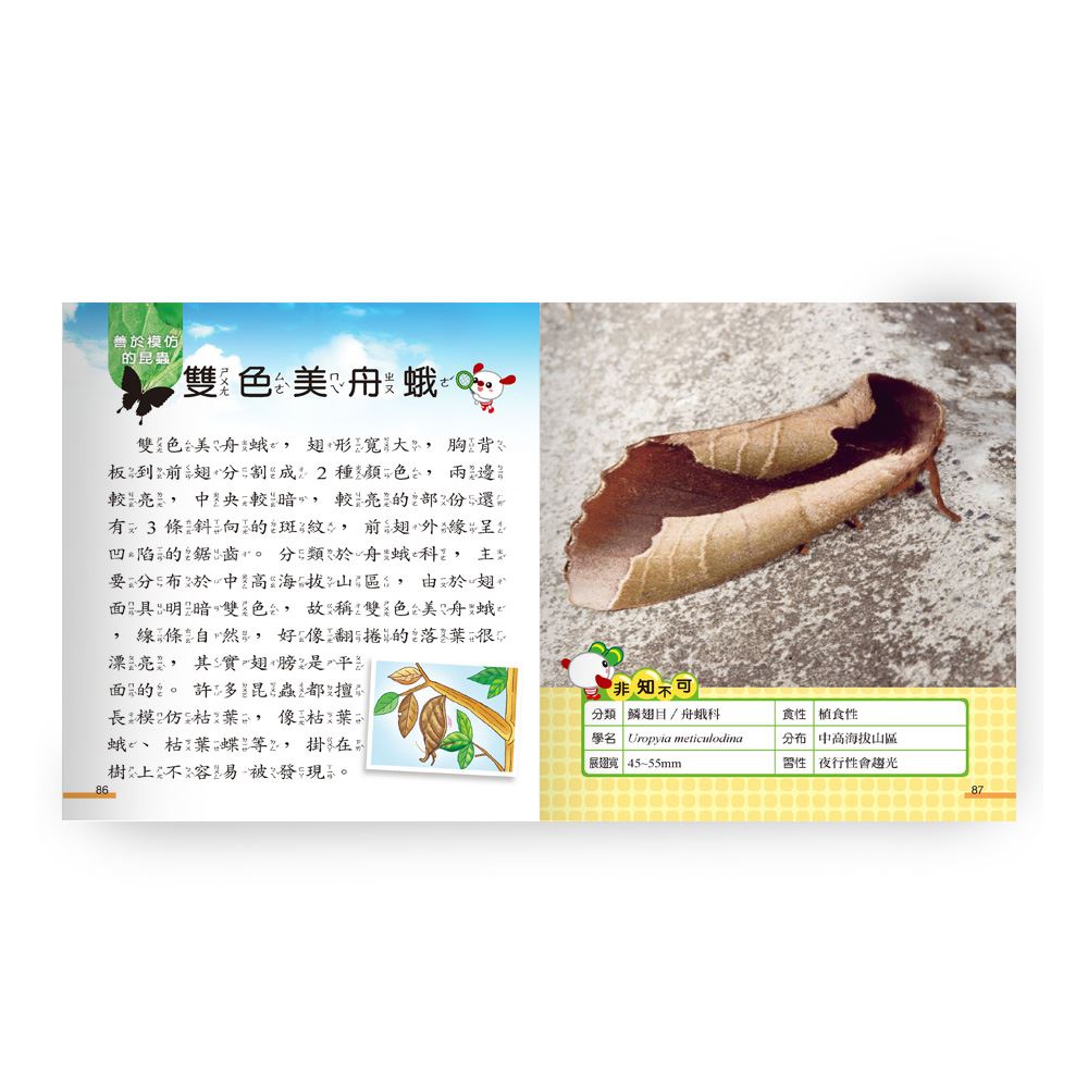 昆蟲小百科B688011-1 | 熱銷推薦| 世一文化