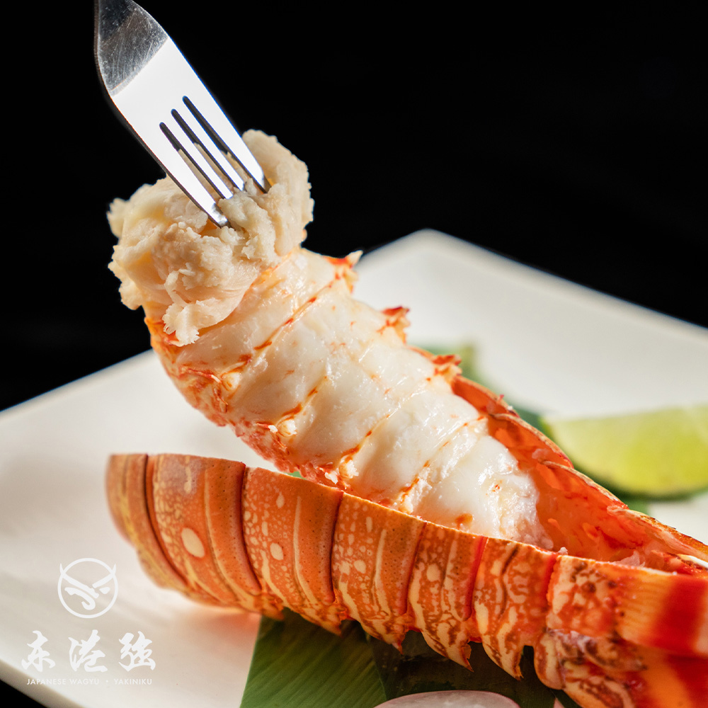 龍蝦31 任選TOMICA ANIA 探索動物系列AL-31 小龍蝦AN95249 多美動物園