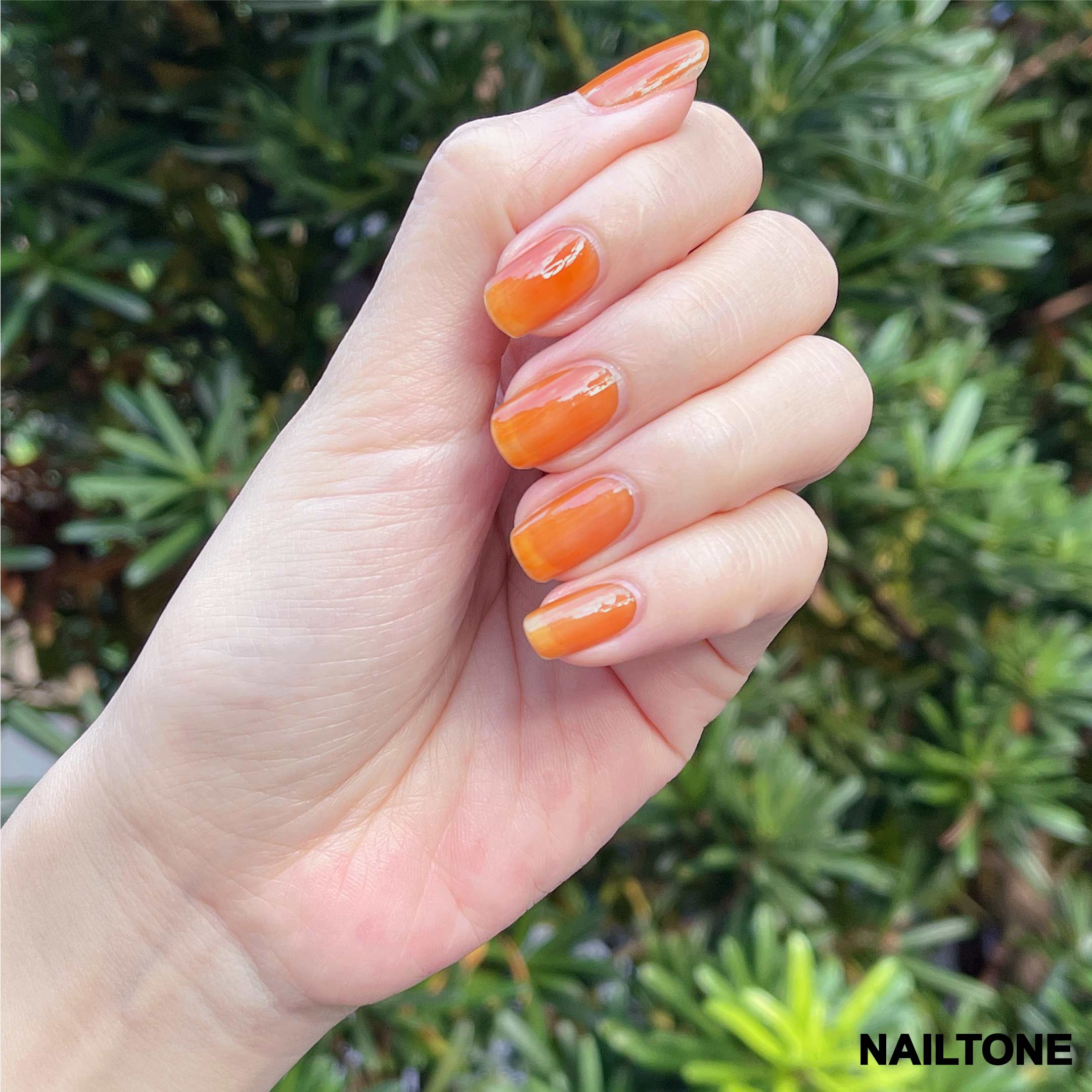 NAILTONE 持久引力密著指甲油｜N060 沐心澄橘
